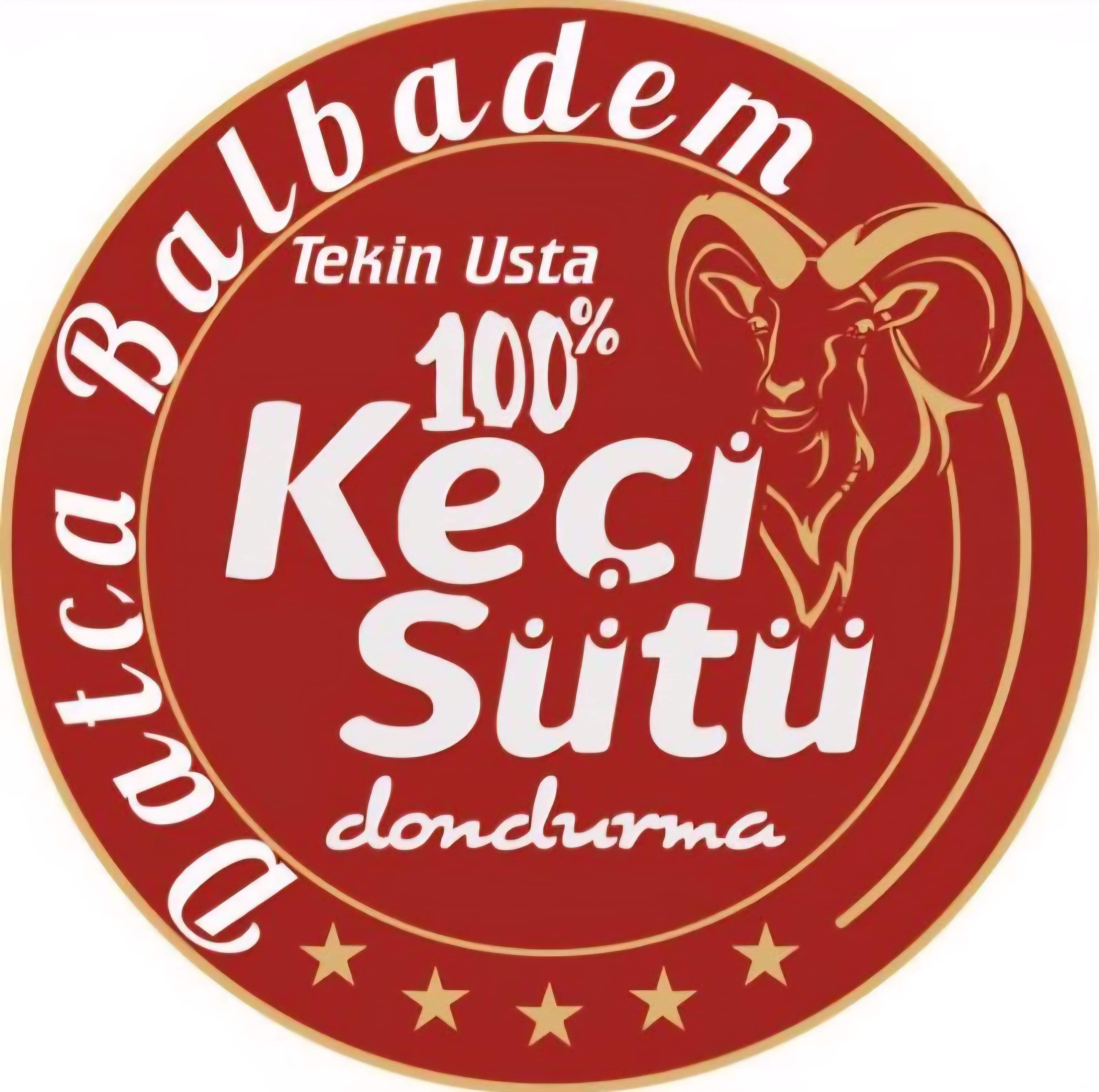 Tekin Usta Dondurma logosu
